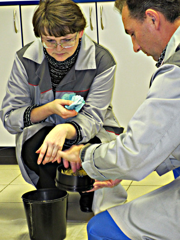 Отбор проб корма